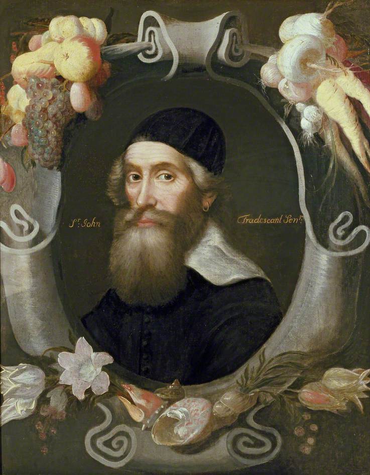 John Tradescant the Elder, attributed to Thomas de Critz (1607 - 1653) © Ashmolean Museum, University of Oxford