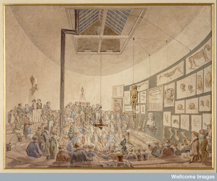 A lecture at the Hunterian Anatomy School, Great Windmill Street, London, by Robert Blemmel Schnebbelie, watercolour, 1830. Wellcome Library, London. This watercolour a rare representation of a lecture at William Hunter’s anatomy school at Great Windmill Street, London. Hunter died in 1783; this painting shows a successor teaching about the bones of the skull.