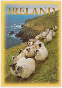 Postcard from Sue Tilley to Lucian Freud (postcard 3: obverse). © Sue Tilley. Part of the Lucian Freud Archive.